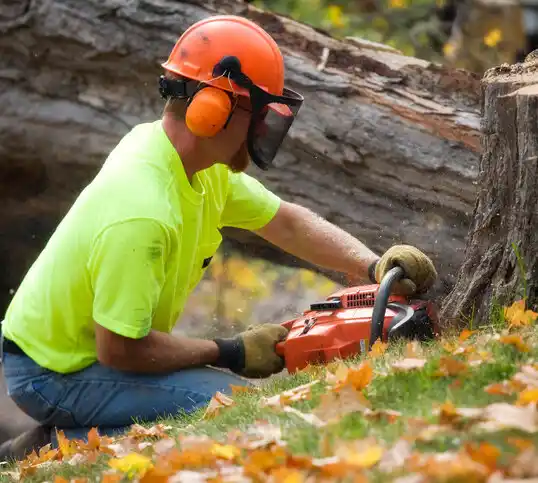 tree services Garrettsville